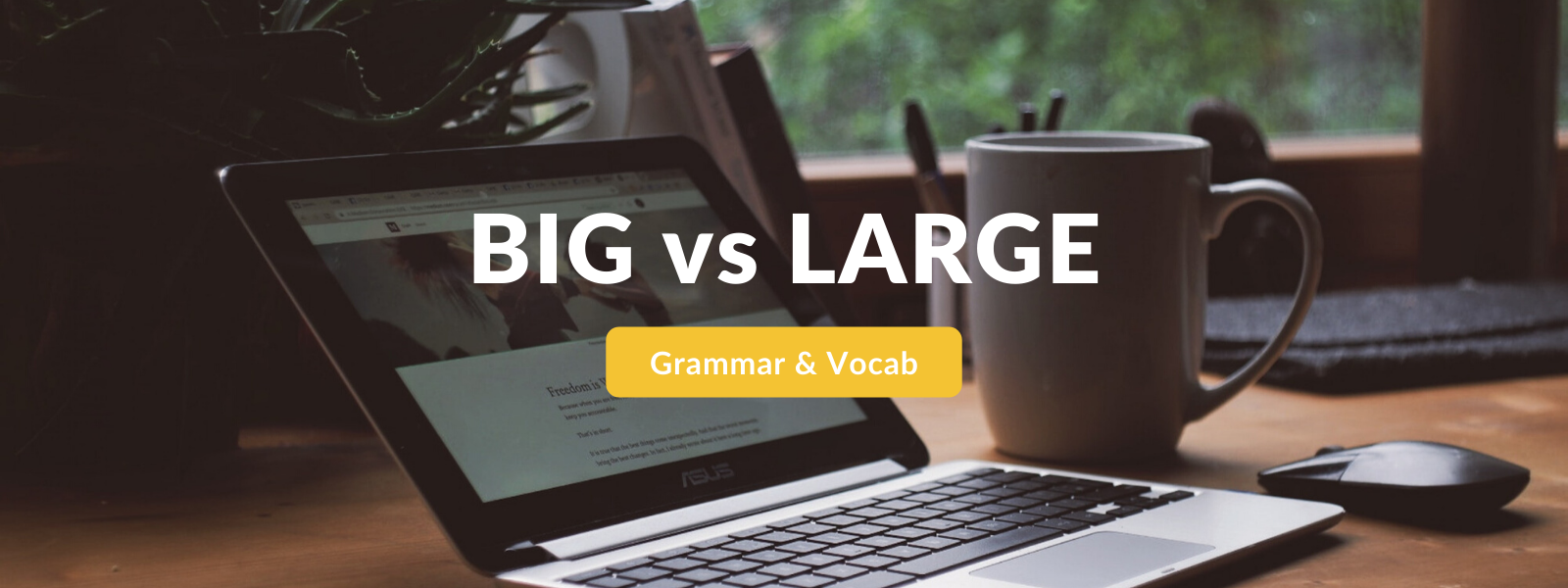 Big VS Large - Are They The Same? (Includes Exercises!)