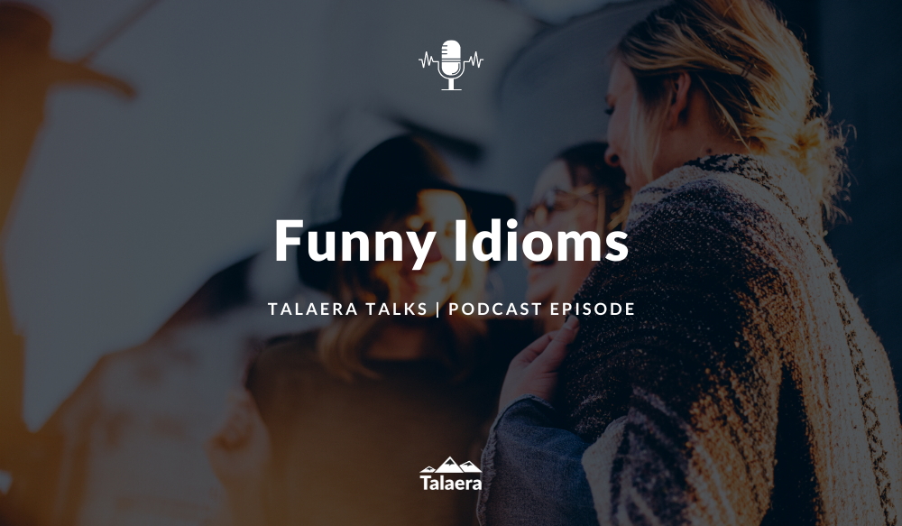 Funny Idioms - Talaera Talks Business English