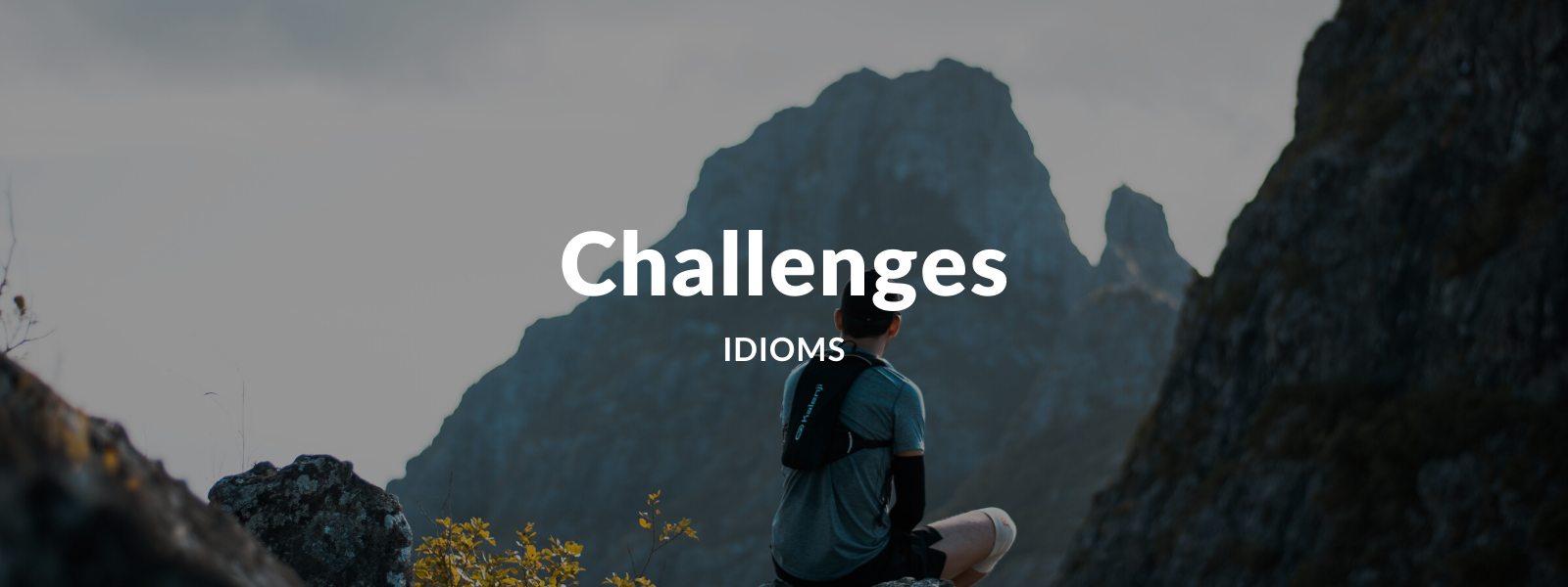 Talaera Business Idioms Challenges